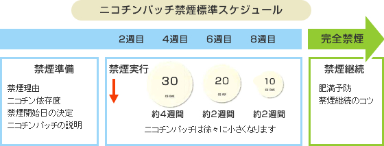 飲み薬による禁煙標準スケジュール