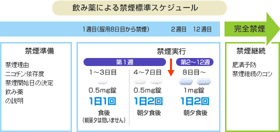 飲み薬による禁煙標準スケジュール